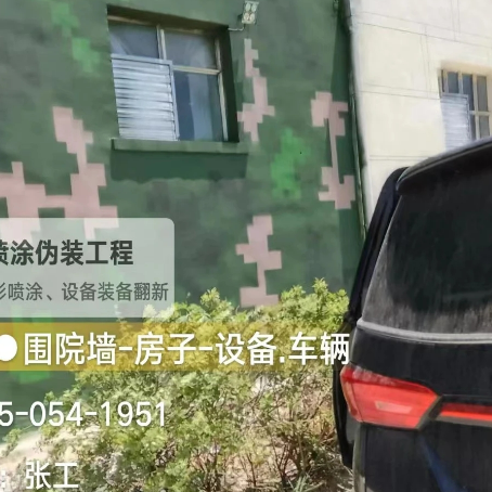 泉州数码迷彩漆施工